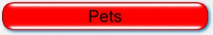 Pets